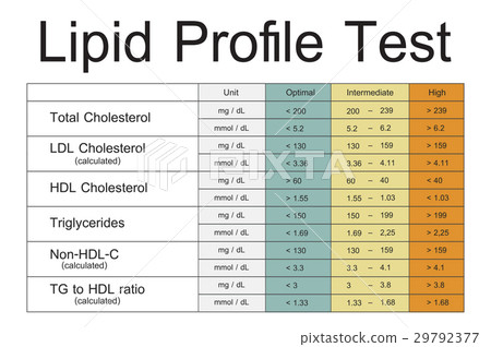 Lipid Profile Test Results Icon Stock Illustration 29792377 Pixta