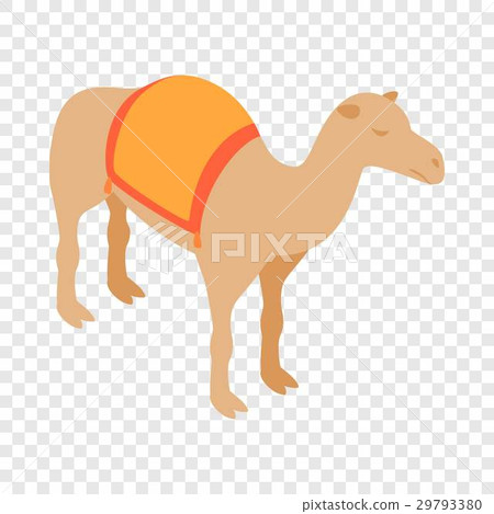Camel isometric icon 29793380