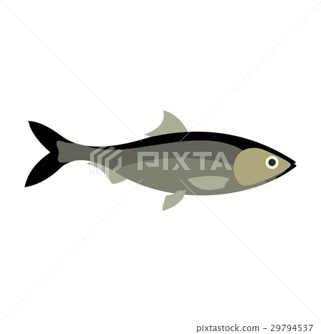 Fish icon, flat style Fish icon, flat style 29794537