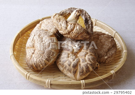 Dick shiitake mushroom 29795402