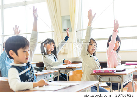 Elementary school, lesson image, hand raising 29795625