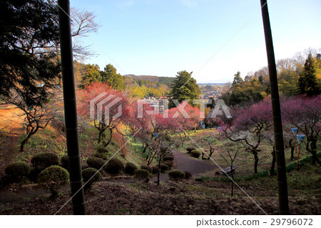 拜林公園 拜林公園 29796072