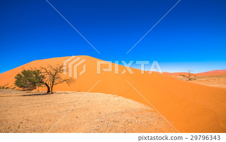 Dune 45, Sossusvlei, Namibia 29796343