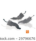 青椒 29796676