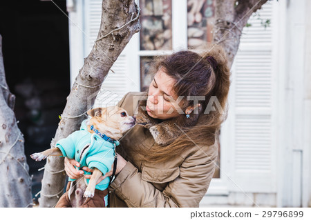 Woman holding in hands Chihuahua dog on the light 29796899