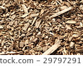 Spreaded sawdust 29797291