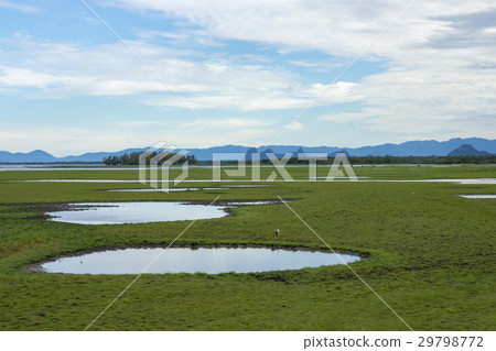 Wildlife sanctuaries of southern Thailand. 29798772