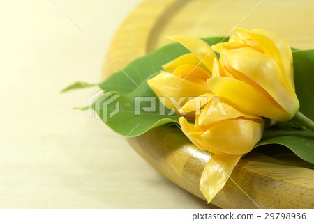 Fragrant yellow flowers refreshing. 29798936