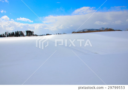 The winter landscape of the swan flying field Yushuno 29799553