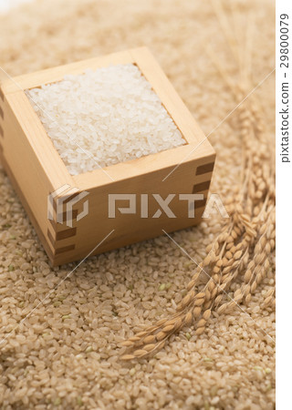 Brown rice, white rice and ear rice 29800079