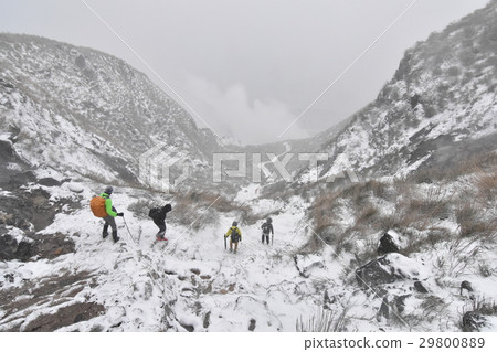 Snowy Yangmingshan 29800889