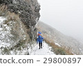 Strolling in the snow 29800897