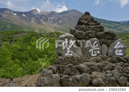 十胜山山體育場 十胜山山體育場 29801088