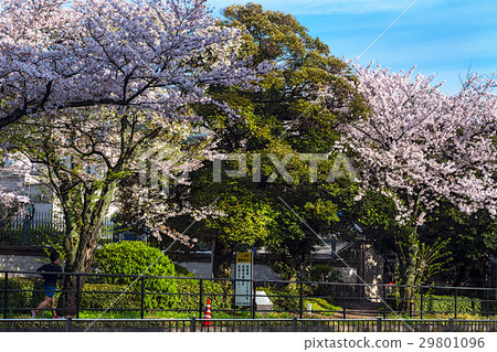 British Embassy British Embassy 29801096