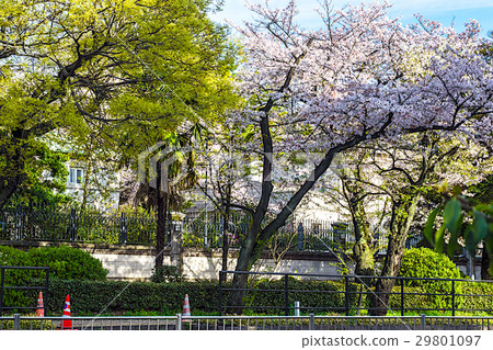 British Embassy British Embassy 29801097