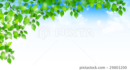 New green leaves Spring background 29801200