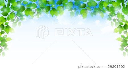 New green leaves Spring background 29801202