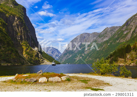 Fjord Sognefjord - Norway Fjord Sognefjord - Norway 29801311