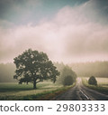 Autumn Landscape. Road in Fog. Trees Silhouettes. 29803333