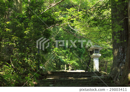 和歌山縣·熊野古道·Naka-ebashi Daimonzaka 和歌山縣·熊野古道·Naka-ebashi Daimonzaka 29803411