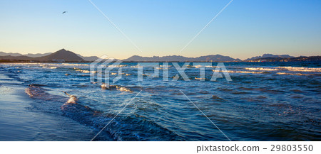 aves on the seashore aves on the seashore 29803550