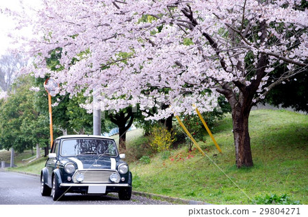 ROVER MINI !!春天 29804271