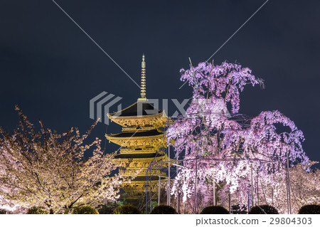 春天Toji 春天Toji 29804303