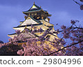 Ozaki Castle with cherry blossoms and a cherry tree 29804996