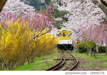 Anno Flower Station Park 29806178