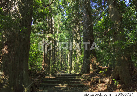 Wakayama prefecture · Kumano ancient road · Naka-ebashi Daimonzaka 29806734