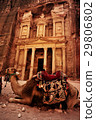Bedouin camel rests near the treasury 29806802