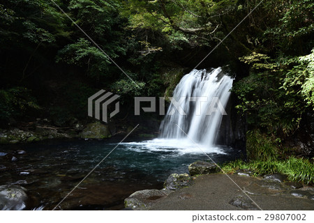 河津瀑布瀑布瀑布 河津瀑布瀑布瀑布 29807002