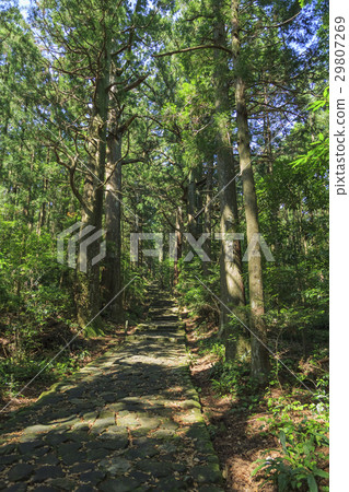 Wakayama prefecture · Kumano ancient road · Naka-ebashi Daimonzaka 29807269