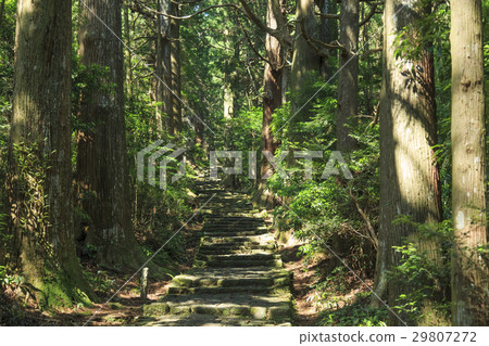 Wakayama prefecture · Kumano ancient road · Naka-ebashi Daimonzaka 29807272