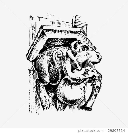 Gargoyle Chimera of Notre-Dame de Paris, engraved 29807514