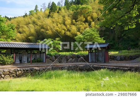 Mr. Asakura ruins of fresh green Mt. Nishiyama Kojoji ruins 29807666