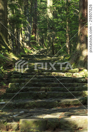 Wakayama prefecture · Kumano ancient road · Naka-ebashi Daimonzaka 29807826
