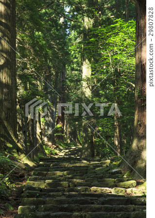 Wakayama prefecture · Kumano ancient road · Naka-ebashi Daimonzaka 29807828