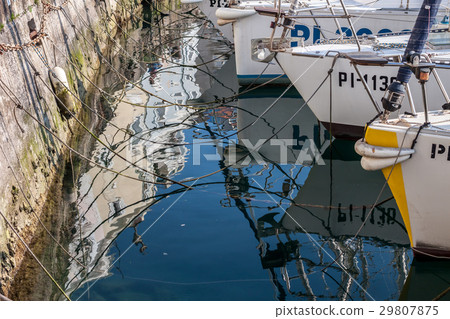 sea port with white boats 29807875