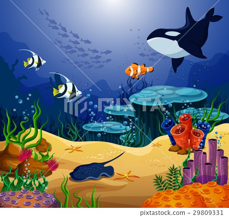 Ocean or sea fish, killer whale and stingray Ocean or sea fish, killer whale and stingray 29809331