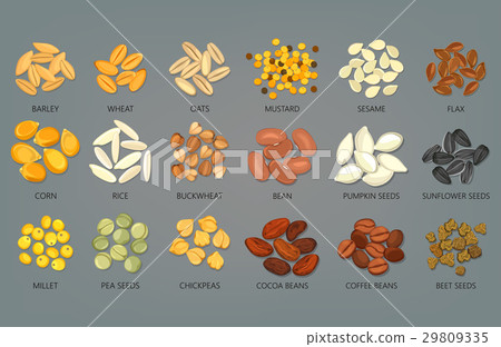 Food seeds and grains, beans of coffee and cocoa 29809335