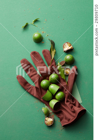 green chocolate candy with jelly 29809710