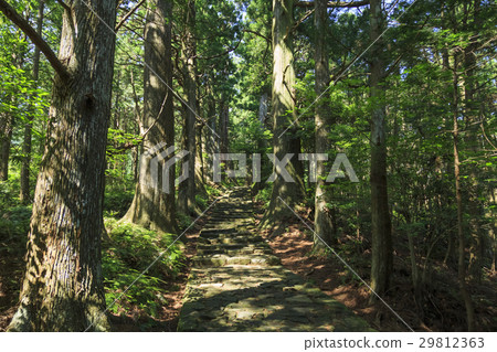 Wakayama prefecture · Kumano ancient road · Naka-ebashi Daimonzaka Wakayama prefecture · Kumano ancient road · Naka-ebashi Daimonzaka 29812363