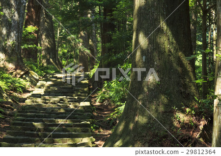 Wakayama prefecture · Kumano ancient road · Naka-ebashi Daimonzaka Wakayama prefecture · Kumano ancient road · Naka-ebashi Daimonzaka 29812364
