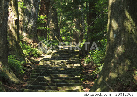 Wakayama prefecture · Kumano ancient road · Naka-ebashi Daimonzaka Wakayama prefecture · Kumano ancient road · Naka-ebashi Daimonzaka 29812365