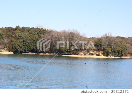 國家湖邊 國家湖邊 29812371