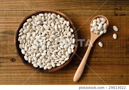 White bean 29813022