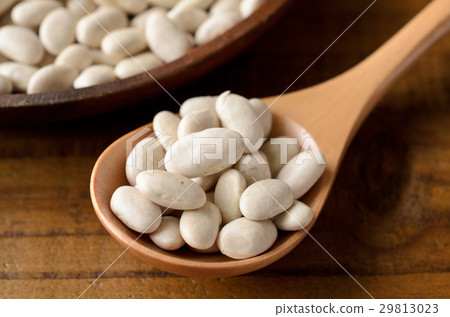 White bean White bean 29813023