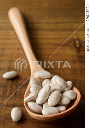 White bean White bean 29813024