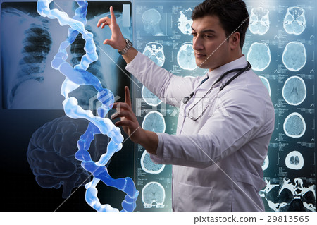 Scientist studying human DNA in lab 29813565